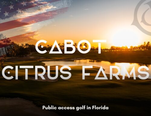 Floridian Adventures Pt 2: Cabot Citrus Farms